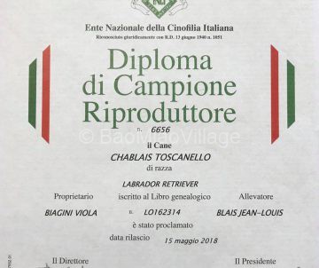 campione riproduttore