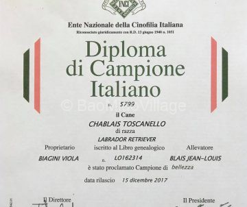 campione italiano